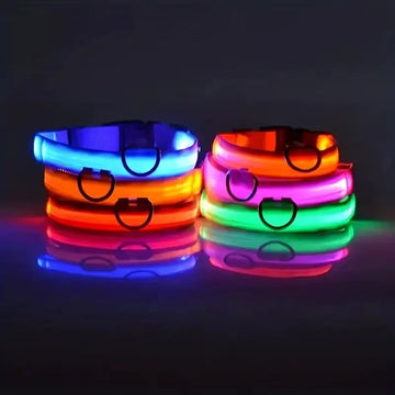 LED Flashing & Glow-in-the-Dark Nylon Dog Leash (Multiple Sizes)