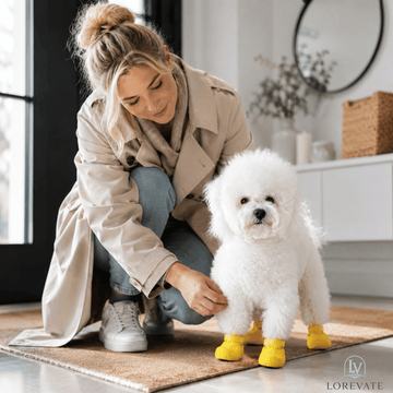 AquaPaw Guard — Waterproof Non-Slip Dog Socks