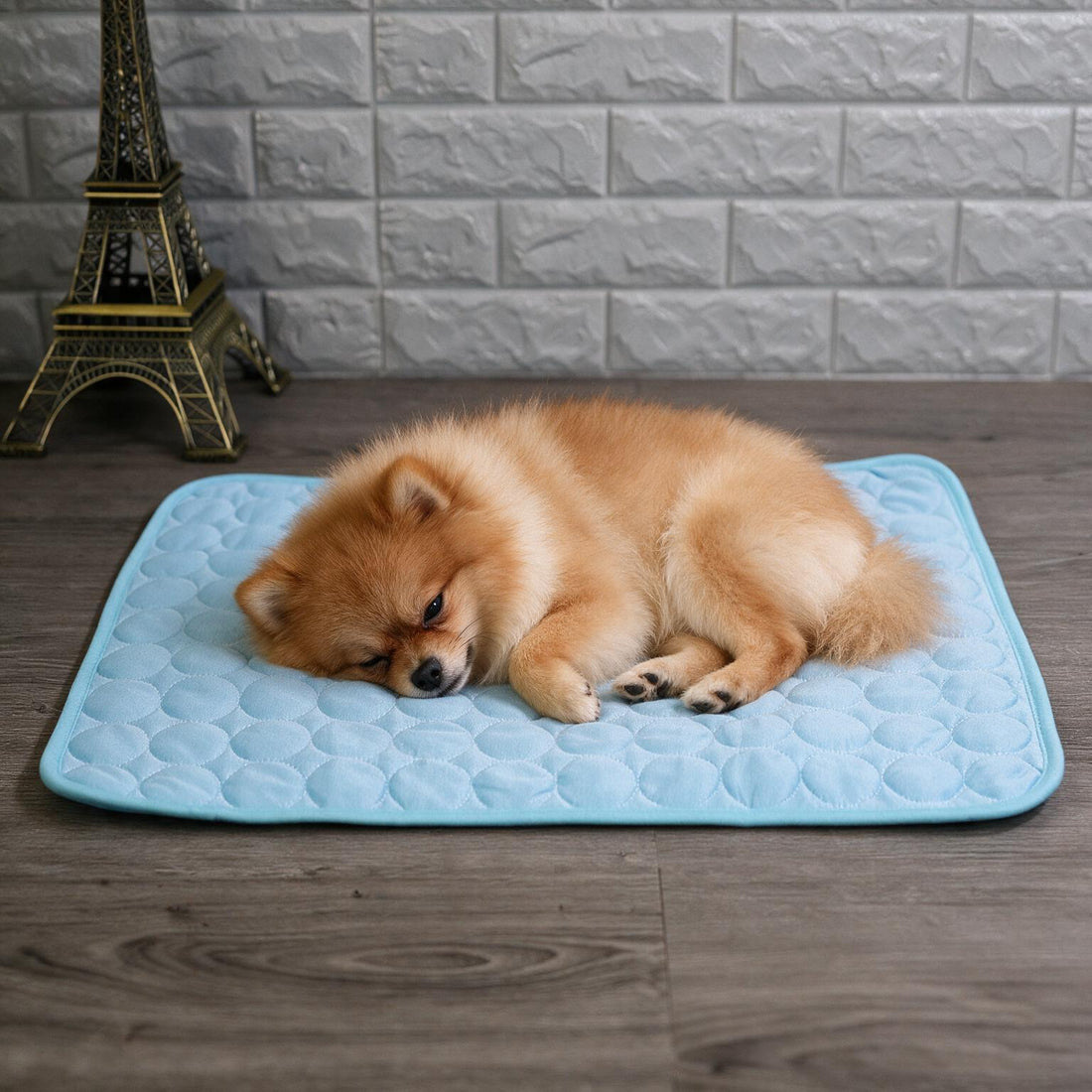 Pressure-Activated Cooling Pet Mat